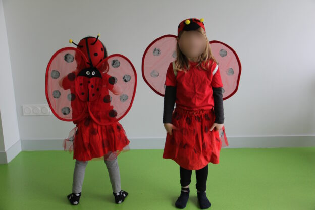 Coccinelle